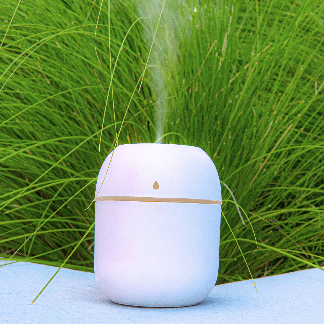evolve nebulizing diffuser