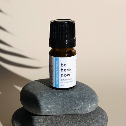 be here now | meditate